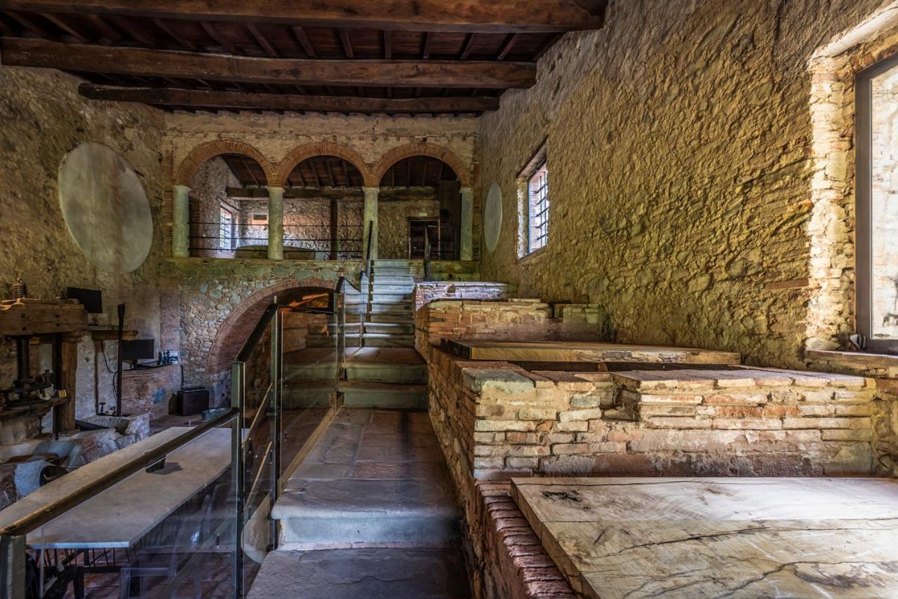 Bed and Breakfast Frantoio Del Moscatello Camaiore Exterior foto